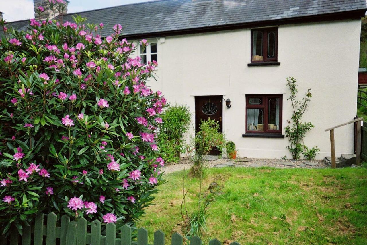Deer House Villa Machynlleth Eksteriør billede